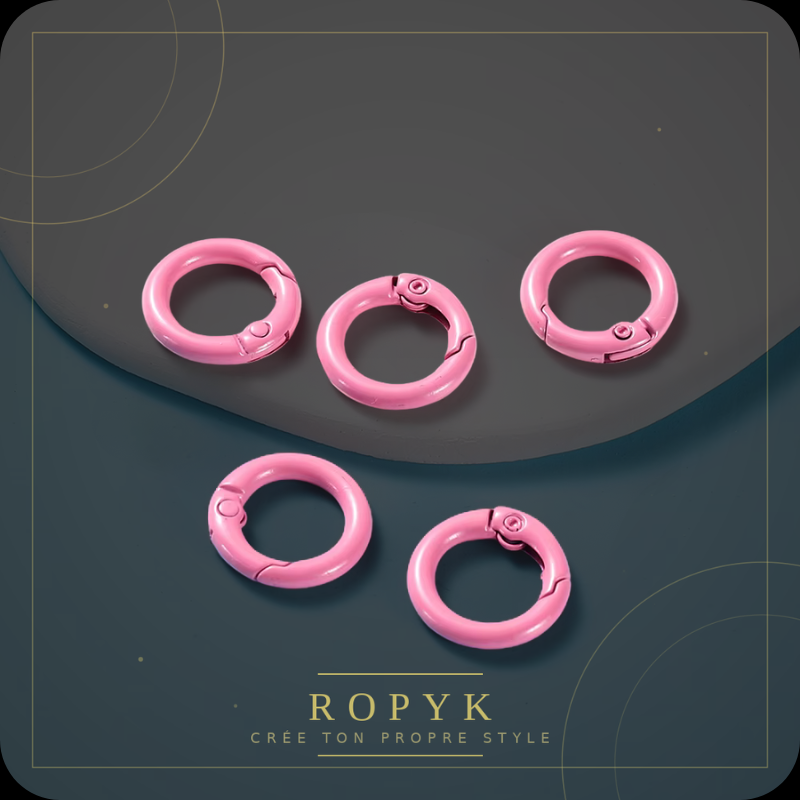 Ropyk - Anneaux Mousqueton Déco Sac (Lot de 5) - Multicolores - 41 mm