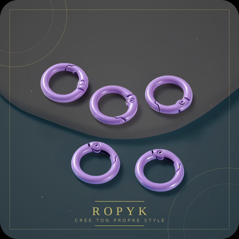 Ropyk - Anneaux Mousqueton Déco Sac (Lot de 5) - Multicolores - 41 mm